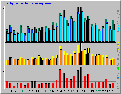 Daily usage for January 2019