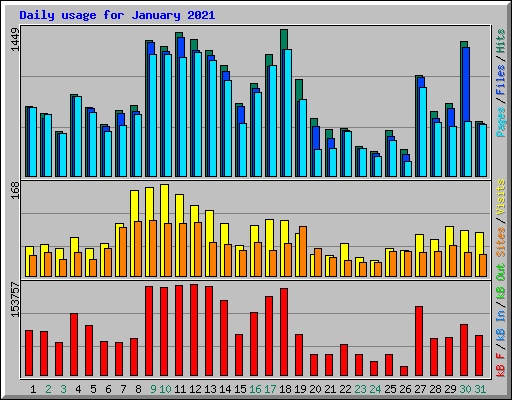 Daily usage for January 2021