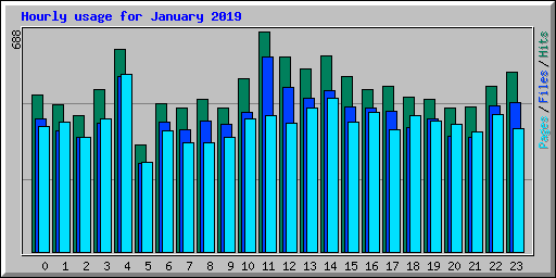Hourly usage for January 2019