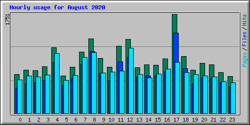 Hourly usage for August 2020