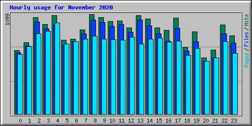 Hourly usage for November 2020