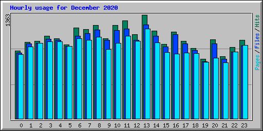 Hourly usage for December 2020