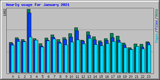Hourly usage for January 2021