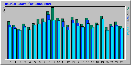 Hourly usage for June 2021