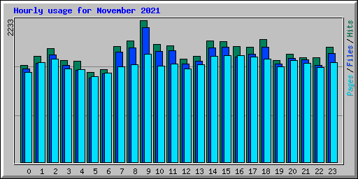 Hourly usage for November 2021