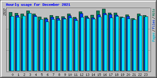 Hourly usage for December 2021