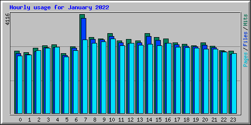 Hourly usage for January 2022